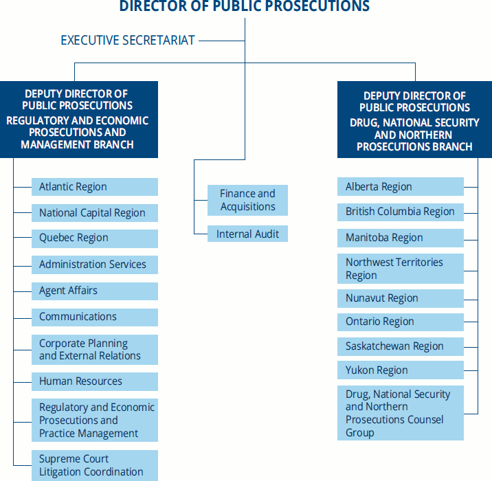 Organizational Structure graphic