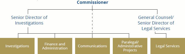 Organizational Structure graphic