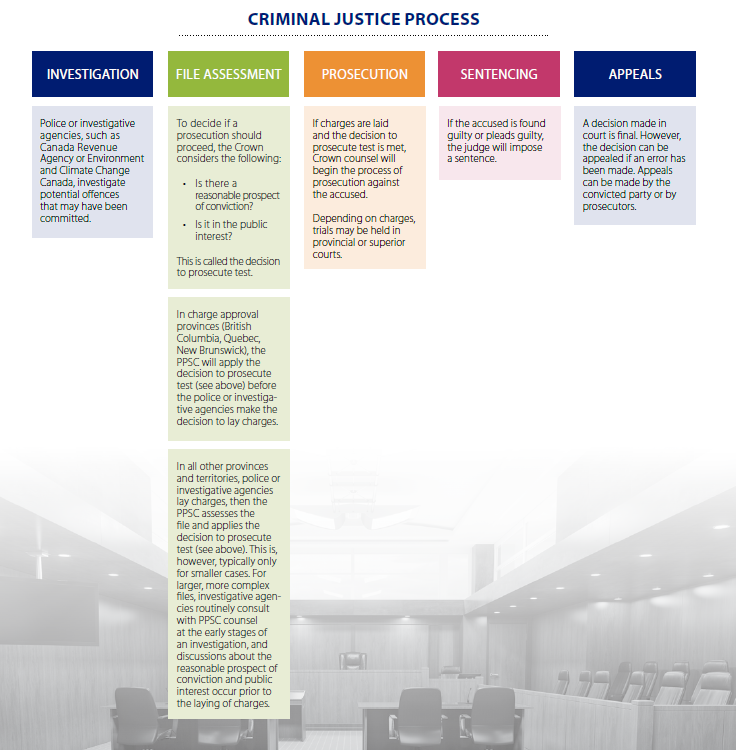 Criminal Justice Process