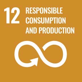 12: Responsible Consumption and Production