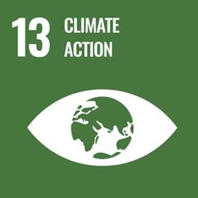 13: Climate Action