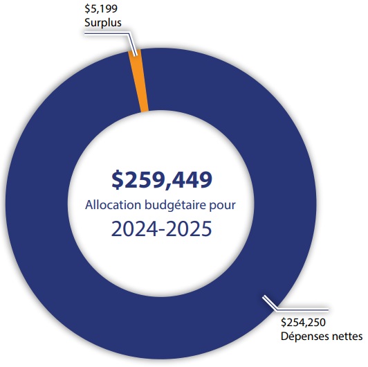 Budget Allocation 2024-2025